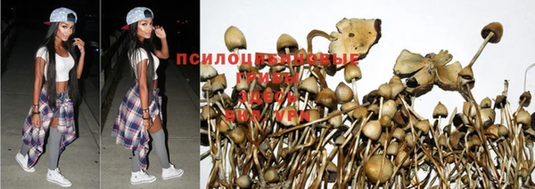 ГАЛЛЮЦИНОГЕННЫЕ ГРИБЫ Нягань
