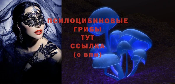 ГАЛЛЮЦИНОГЕННЫЕ ГРИБЫ Нягань