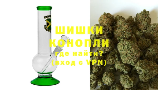 стаф Осташков