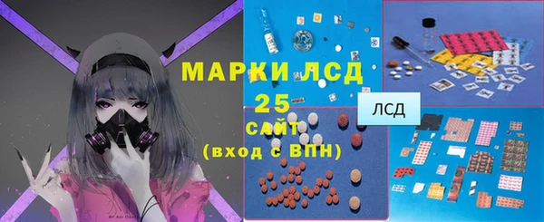 прущие грибы Осинники